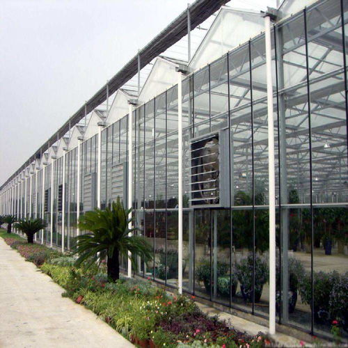 生態園餐廳建設中的關鍵一環 大棚薄膜的選擇與溫室造價解析